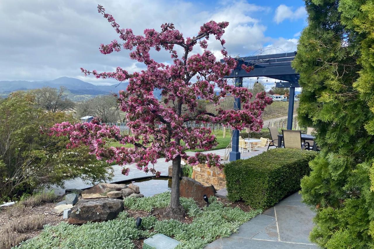 הילדסבורג Alexander Valley Retreat מראה חיצוני תמונה